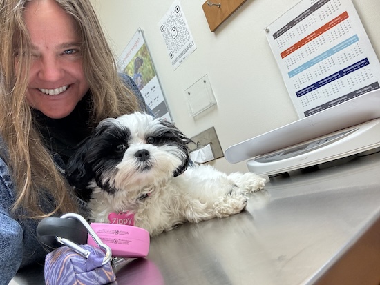 A blonde haired girl smiling next to a puppy who is laying on a gray vets table