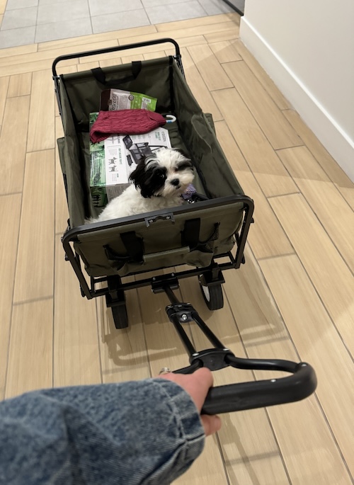 A small dog riding in a green wagon that is being pulled across a floor