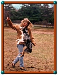 Katch22 the Miniature Australian Shepherd is jumping up to grab a stick out of a lady's hand in a field.