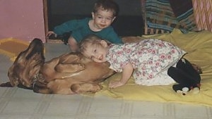 Bloodhound laying on its side on a blanket and a little girl has her ear to its stomach with a little boy just watching in the background