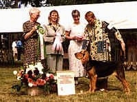 Misty the Bloodhound puppy standing in front of Four people who are presenting it with awards