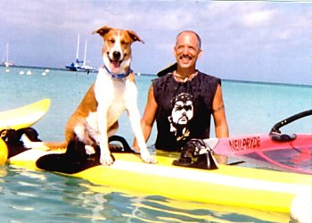 The front right side of a brown and white Arubian Cunucu that is sitting on a surfboard in the water with its mouth open and tongue out. There is a giuy to the right of it standing behind the surfboard and looking forward.