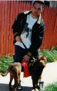 The right side of a brown American Pit Bull Terrier that is wearing a second place ribbon on a sidewalk and there is a persons tanding behind it.