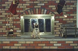 A large fireplace and a tan with black Pug that is wearing antlers is sitting in front of it.