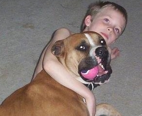 Leo the Banter Bulldogge has a tennis ball in its mouth and is being hugged by a child