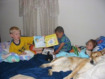 There are Three kids sitting on a bed with Lucy Lu the Carolina Dog. One Boy is showing an open book towards the camera and the little girl is reading a book. Lucy Lu is sleeping.