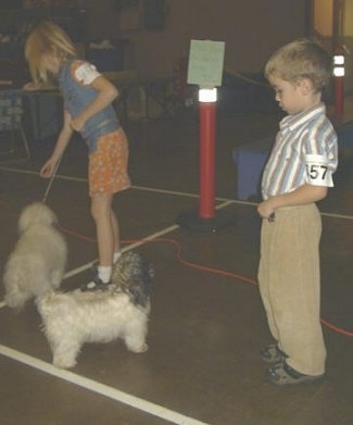 A blonde haired girl is reaching her hand down in front of a white fluffy dog. There is a boy looking down at a white with grey and black dog in front of him.