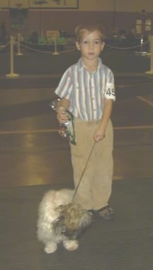 A boy is standing on a concrete surface and it is looking forward. The boy is holding the leash of a white with tan and black dog that is looking down and to the right.