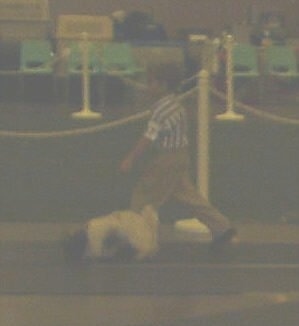 A boy is walking a dog aroudn a inside track at a dog show ring.