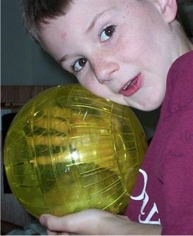 Close up - A boy is holding a yellow hamster in a exercise ball smiling as he lays his head on the ball.