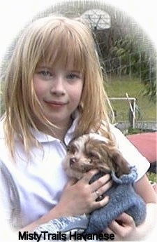 A blonde haired girl is holding a Havanese puppy that is wrapped in a blue sweater.