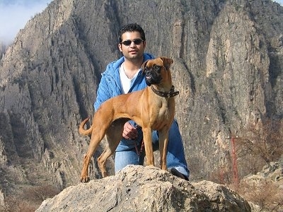 Jessica the Boxer standing on a rock in front of her owner with a rock cliff in the background