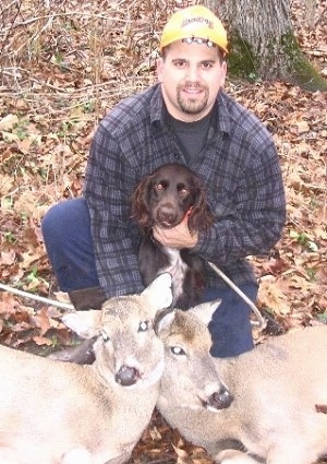 Bella the Deutscher Wachtelhund is sitting in front of a knealing man in a yellow hat who is in front of two dead deer