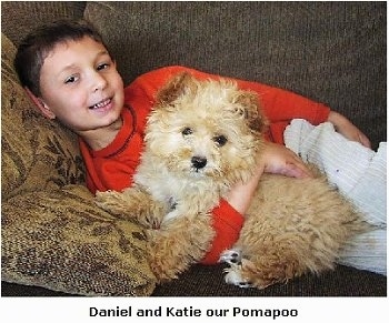 A boy is laying on a couch behind a wavy coated tan Pomapoo puppy. The boy is smiling and the puppy is looking forward. Overlayed at the bottom of the image are the words - Daniel and Katie our Pomapoo.