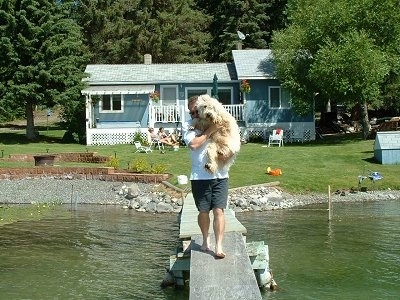 A man is walking down a dock with a tan Soft Coated Wheaten Terrier dog in his arms. There is water on each side of the dock and a blue house behind him,