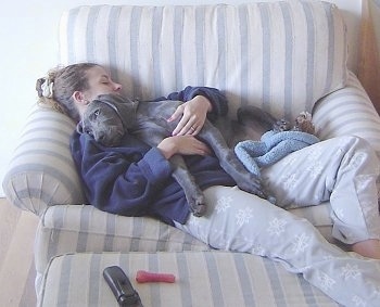 A Weimaraner puppy is laying on top of a sleeping person on a large light blue and white striped arm chair. There is a TV remote and a dog bone on the matching ottoman in front of them.