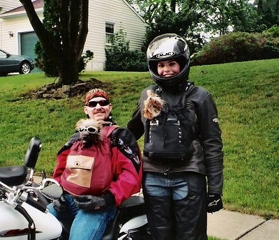 A person sitting on a motorcycle and a person standing next to the motorcycle both have Yorkiepoo dogs in their shirts.