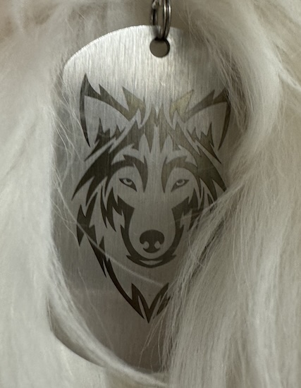 A Dire Wolf dog tag hanging on a white wolf