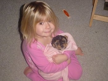 Chacy Ranior Puppy is wrapped in a pink blanket. It is being hugged by a little girl with blonde hair who is also wearing pink.