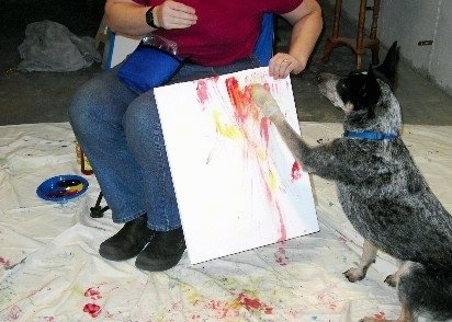 Coyote the Australian Cattle Dog is Painting. Coyote has a sock on its paw and it has yellow paint stained on it. There is a person in a chair in front of Coyote holding the canvas