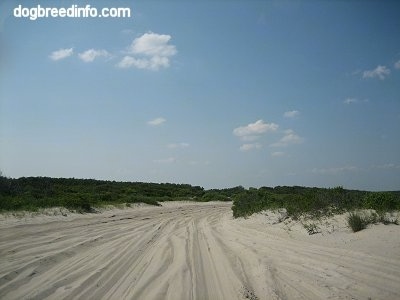A Sandy road