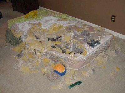 A Destroyed mattress covered in its own foam pieces scattered about