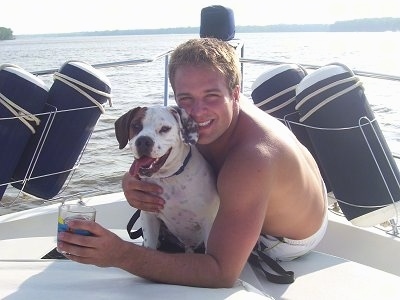 A white with brown Beabullon is sitting on a boat being hugged by a man who is holding a glass with his other arm