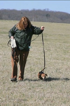 Margo is holding a glove and Weezil the Dachshund is walking in the grass next to her