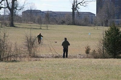 Margo with Weezil the Dachshund are running around in a field and there is a person watching them from behind a fence