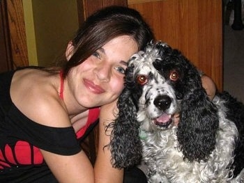 Windsor the black and white English Cocker Spaniel is head to head with a lady. Windsors mouth is open it looks like he is smiling. The Lady has her arm wrapped around the dog.