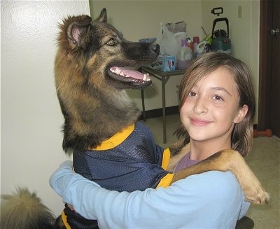 Baby  Pictures on German Shepherd Dog Pictures And Photos  2
