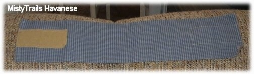 A blue long cloth belly band for a dog on the back of a tan couch
