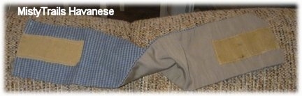 A twisted Belly Band on the top side of a couch to show the blue front and the tan backing with velcro
