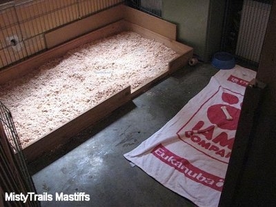 Wood Chips spread in puppy pen