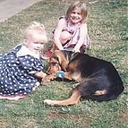 A girl in a pink polka dot dress is sitting behind a black and tan Bloodhound and in front of it is a girl in a blue polka dot dress. The Bloodhound is licking the girl in fronts hand.
