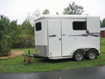 Bruno the Boxer Puppy is in front of the Horse trailer