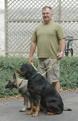 Rotweiler and Shiloh Shepherd puppy are sitting on concrete on leashes in front of their owner