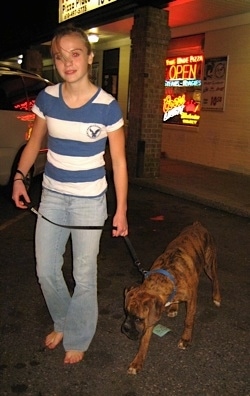 Amie and Bruno the Boxer puppy walk past the trash