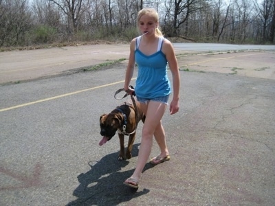 Amie with a lolly pop in her mouth leading Bruno the Boxer down the road