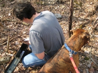 Bruno the Boxer sitting next to his owner who is looking inside a newly found Geocache