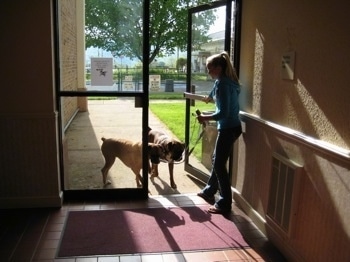 Amie leading Allie and Bruno through the doorway back into the hotel