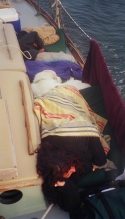 A Great Pyrenees is sharing a blanket with a lady on the deck of a moving boat.