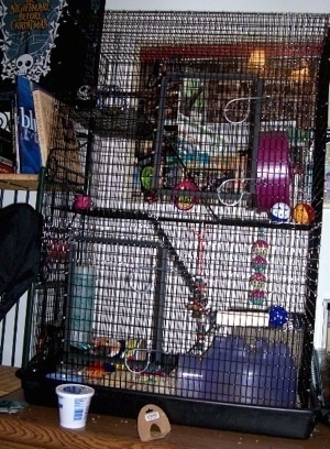 A three story rat cage.