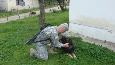 A soldier dressed in camo with a M16 rifle strapped around him is rubbing the side of the face of a black with tan Sarplaninac dog that is leaning into him. There is a second dog walking down the road in the distance.