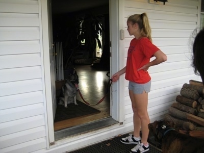 A black and grey with white Dog is sitting in a house on a throw rug. Outside of the door is a blonde-haired girl holding the leash of the dog.