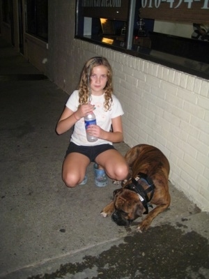 Bruno the Boxer laying in front of a store and Sara has a bottle of water to share