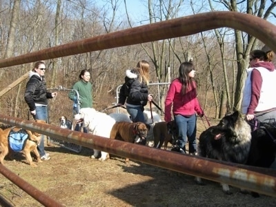 Pack Walk leads to an inclosed area