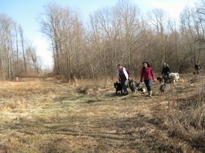 Pack walk walking down a wooded path