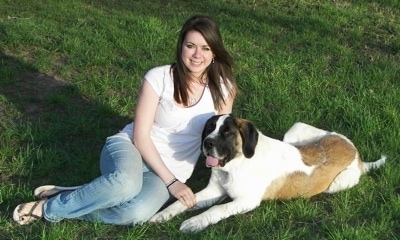 A smiling brown-haired lady is sitting in a field next to a large brown with white and black Saint Bernard puppy that is laying next to her.