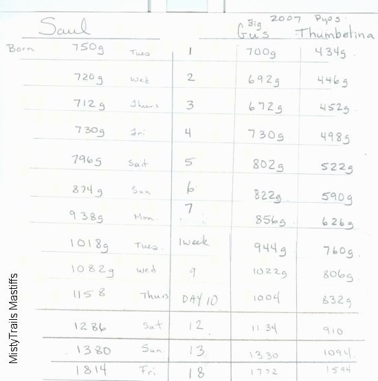 Puppy Weight Chart